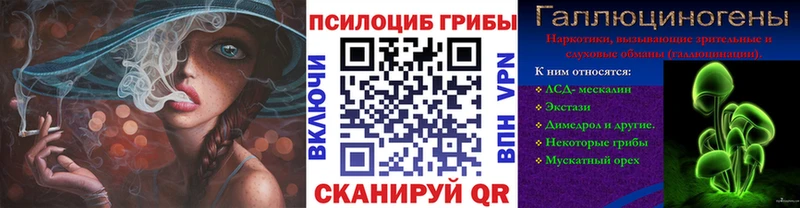 Псилоцибиновые грибы мицелий  Купить где  Звенигород 